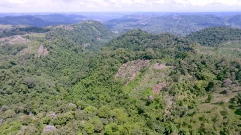 Mountain Cacao Farm Patch Amid Rugged Forested Hills, Aerial Flyover Stock Footage 342820101