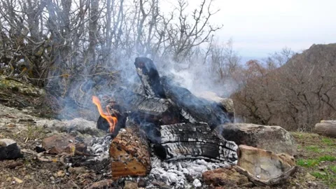 Mountain campfire burning during the day Stock Footage 238861423