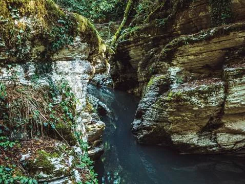 Mountain canyon river reflection stream rocks. Stock Photos