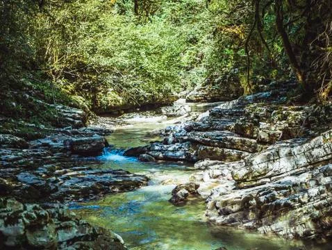 Mountain canyon river reflection stream in the tropical forest Stock Photos