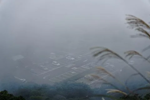 Mountain Car Park Enveloped in Dense Fog with Silver Grass Foreground Stock-Fotos