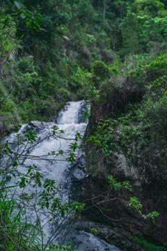 Mountain cascade waterfall inside of wild exotic wood Stock Photos