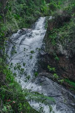 Mountain cascade waterfall inside of wild tropical woodland Foto stock