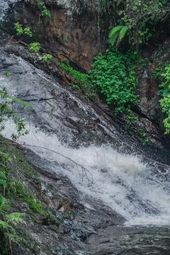 Mountain cascade waterfall inside of wild tropical timberland Stock Photos