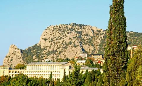Mountain cat in crimea Stock Photos