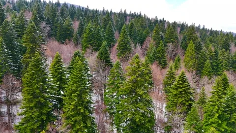 Mountain Chill From Above Stock Footage 313244032