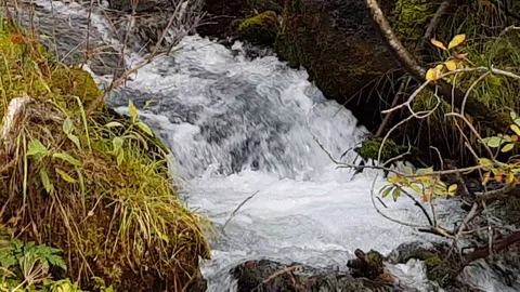 Mountain clean fast river flows Stock Footage 119687629