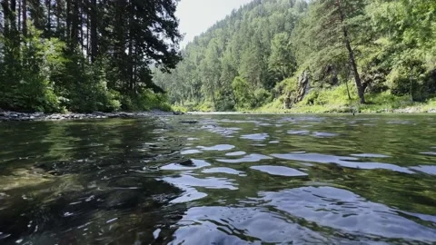 Mountain clear river close-up on the background of a green forest. Stock-Footage 221991756