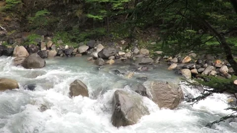 Mountain clear stream running through stones in forest in National park Torres Stock Footage 241346904