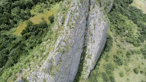 A mountain with a cliff and a forest Video stock 277968521