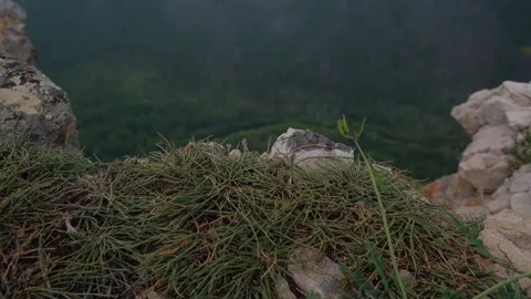 Mountain cliff edge tilting down to river valley view. closeup. Stock Footage 319812743