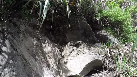 Mountain Cliff Or Rock Wall, Banaue, Luzon, Philippines Stock Footage 233975402