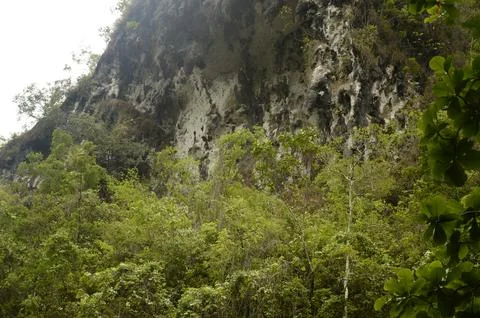 Mountain cliff panorama Stock Photos