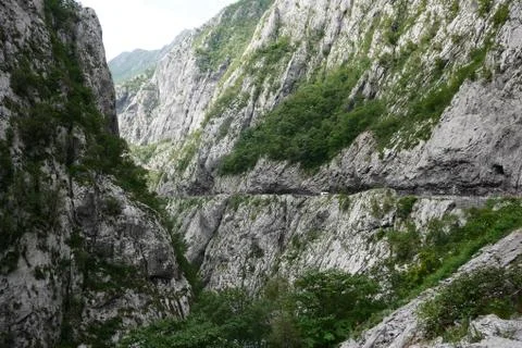 Mountain cliffs overgrown with trees Stock Photos