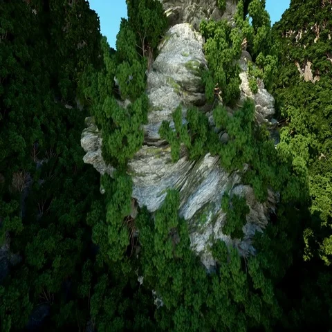 Mountain Cliffs with trees. Aerial Camera footage. Fantasy landscape. Stock Footage 69453732