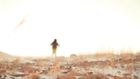 Mountain Climber near the summit Video stock 73878523
