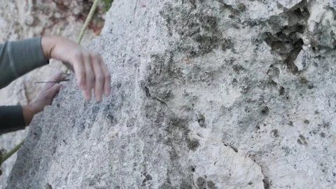 Mountain climbing Stock Footage 153981664