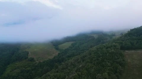 A mountain in the clouds. Clouds. White clouds. Overcast weather. Green mountain Stock Footage 263379978