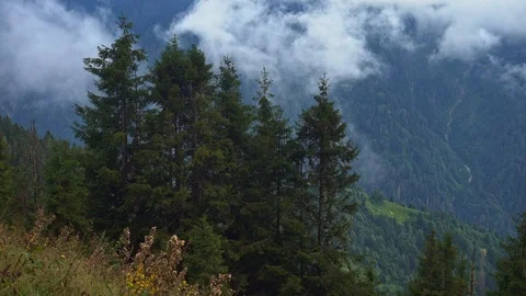 Mountain, Clouds, Fog and Forest Stock Footage 94809752