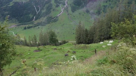 Mountain in clouds Stock Footage 127577922