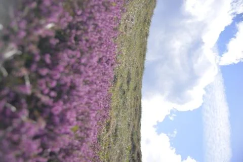 Mountain, clouds, nature Stock Photos