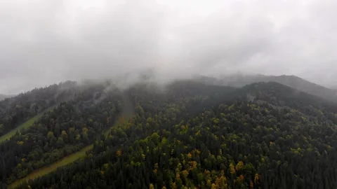 Mountain clouds rain forest carpathians Stock Footage 130829715