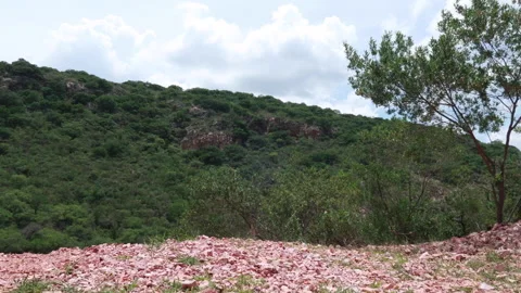 Mountain with cloudy sky, small tree and floor of opals Stock Footage 231349914