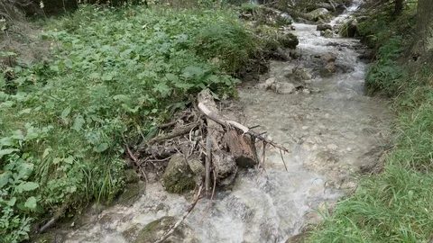 Mountain cold river in hot summer day Stock Footage 117032136