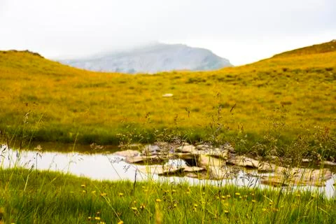 Mountain cold river Fotos Stock