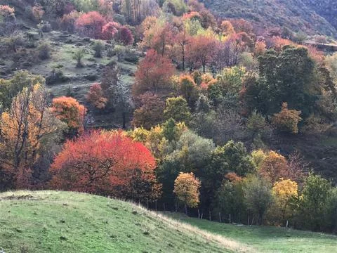 Mountain colors Foto stock