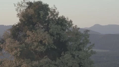 Mountain Contre jour Panorama Stock Footage 137643246
