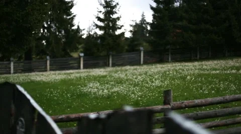 Mountain cottage in the forest Stock Footage 63378971