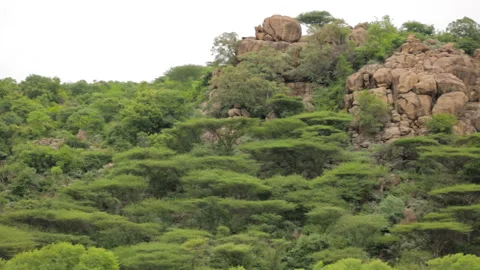 Mountain at country side Stock Footage 157169750