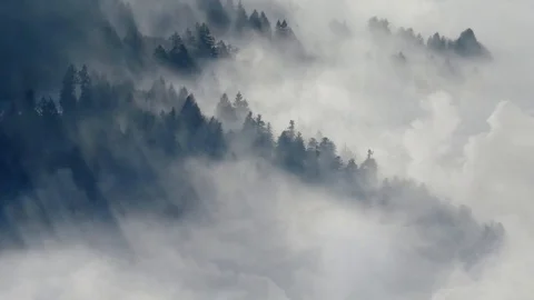 Mountain cover with mist and looking cool Stock Footage 113338017