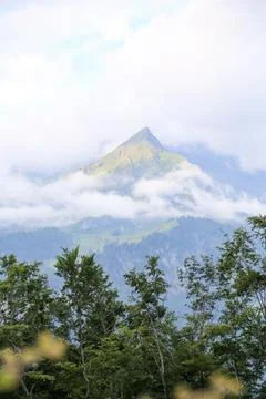 A mountain covered in clouds with a few trees in the foreground Foto stock