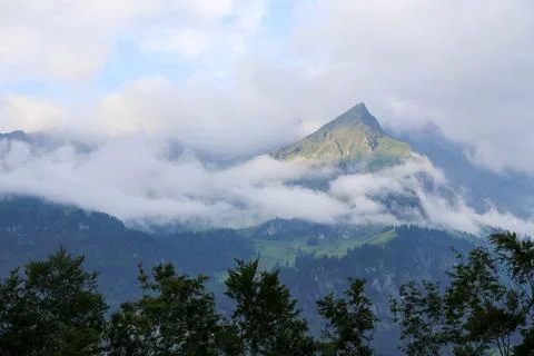 A mountain covered in clouds with a few trees in the foreground Stock Photos