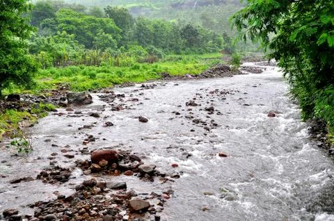 The mountain covered with clouds in the monsoon Stock Photos