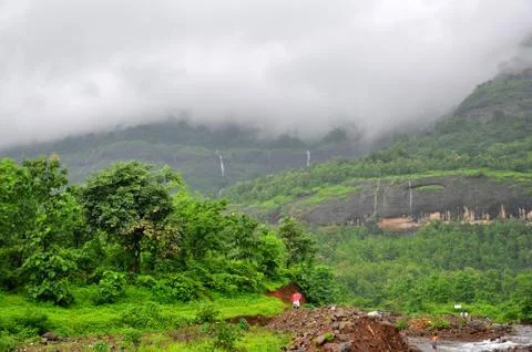 The mountain covered with clouds in the monsoon Stock Photos