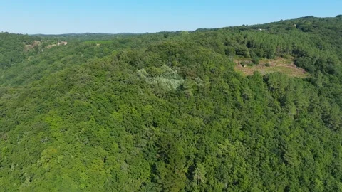 Mountain Covered With Dense Forest. Aerial Shot Stock Footage 286816616