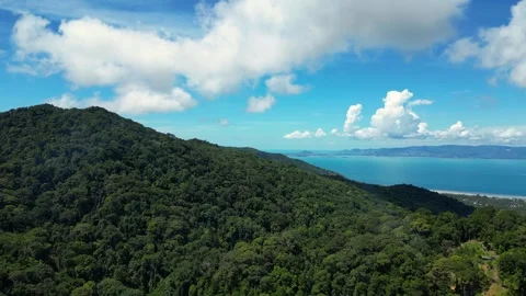 Mountain Covered with Dense Forest – Drone Aerial View Stock-Footage 337817447