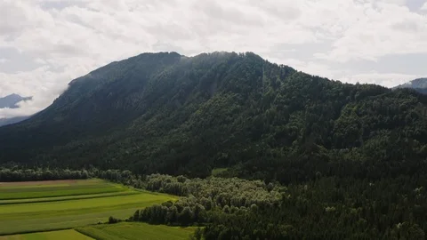 Mountain covered with dense forest Stock Footage 123106671