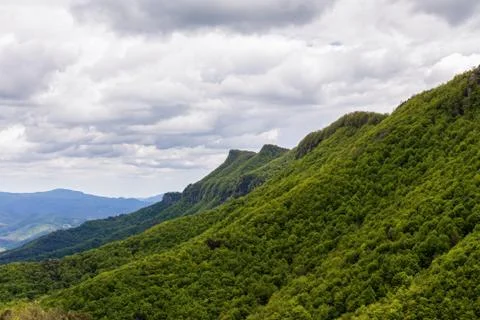 Mountain covered by the forest on cloudy day. Nature landscape. Ridges of the Фото