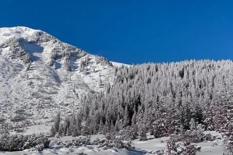Mountain covered with forest Stock Photos