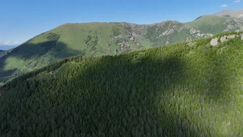 A mountain covered with green trees Stock Footage 345114864