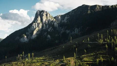 A mountain covered in lush trees set against a blue sky Stock Photos
