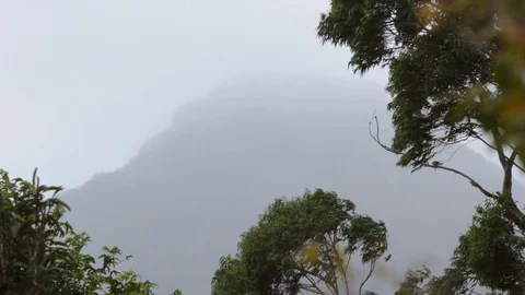 Mountain covered with mist Stock Footage 128077468