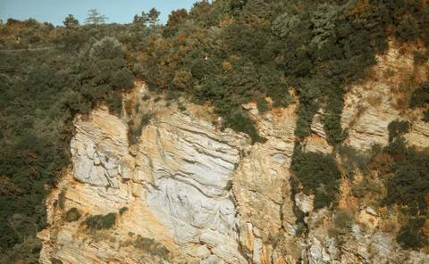 The mountain is covered with pine forest 스톡 사진