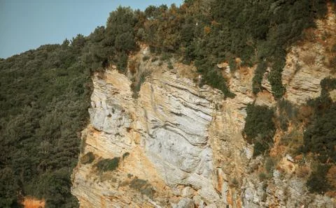 Mountain covered with pine forest Foto stock