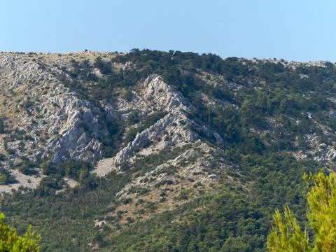 Mountain covered with pine trees against blue sky Stock Photos