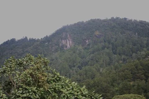A mountain covered in trees and a cloudy sky Stock Photos